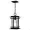 Quoizel McAlister 1-Light Earth Black Outdoor Hanging Lantern MCL1908EK - alternate 1